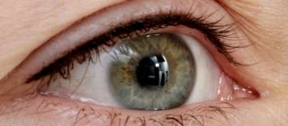 permanent-make-up-berlin-oberlidstrich-wimpernkranzverdichtung