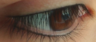 permanent-make-up-berlin-wimpernkranzverdichtung-oben-unten